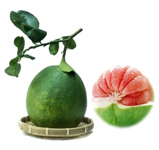 Fresh Green Pomelo In Vietnam 2022, pomelo/Grapefruit Healthy Nutritious Fresh Sweet dried grapefruit