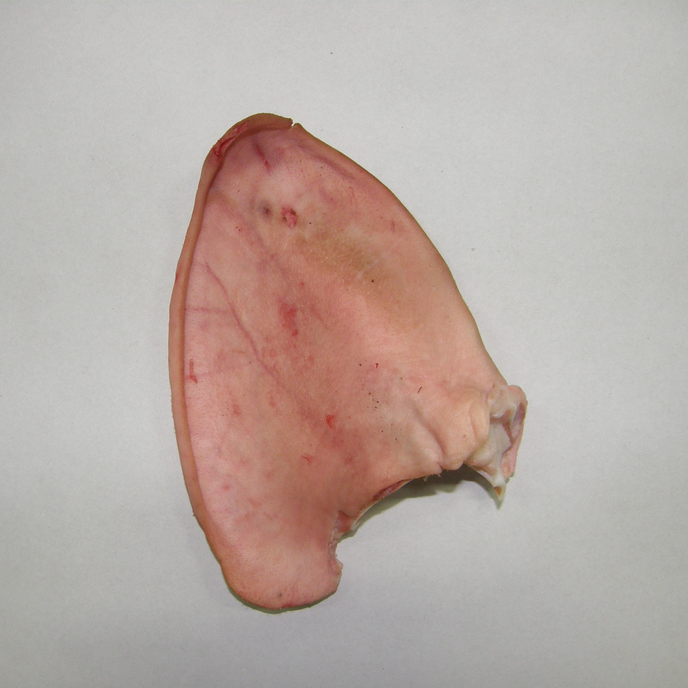 FRESH FROZEN PORK EAR MONTENEGRO ORIGIN PROCESSING FROZEN PORK EAR HIGH QUALITY PORK EAR  A GRADE 400-450G 20-40 KG BOX