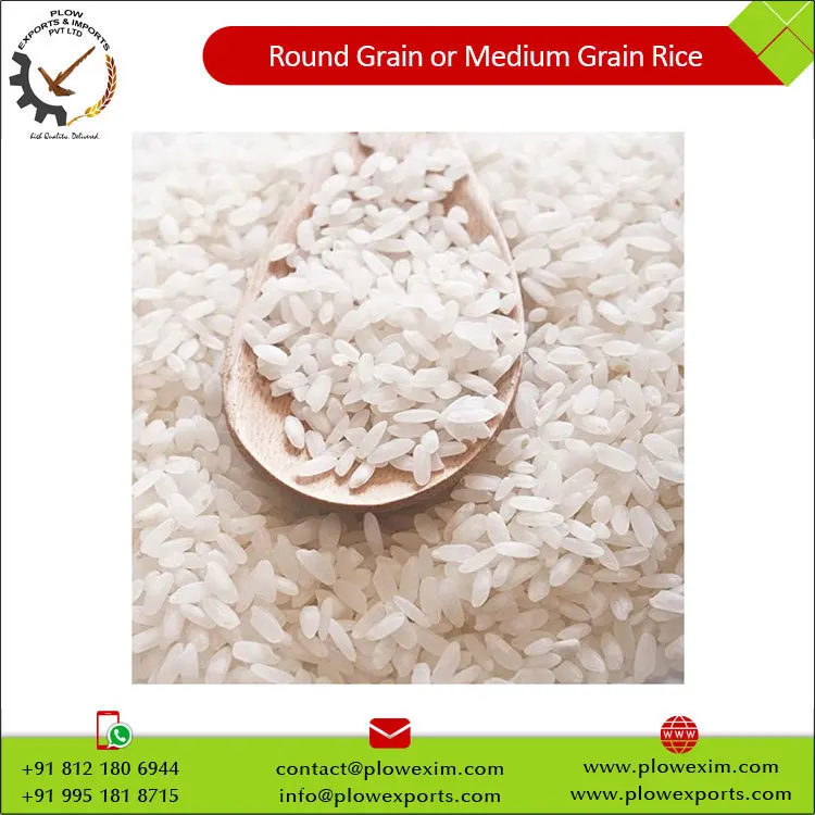 Round Grain or Medium Grain Raw Rice 5% Broken Round Rice Bulk Supply