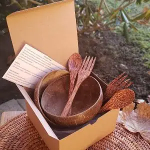 Coconut Shell Vietnam Price Wholesale Coconut Shell Charcoal From Indonesia