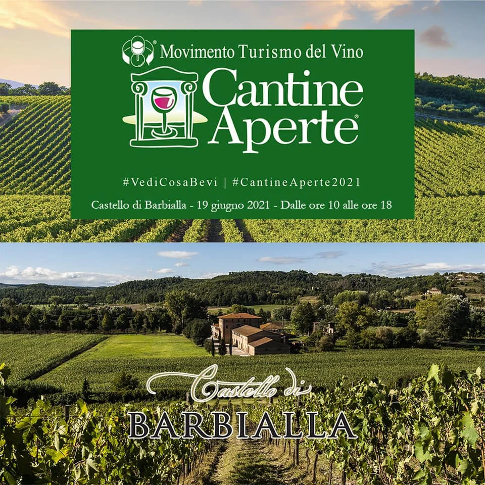 Винный супертосканский винный ящик Castello di Barbialla 2019, красного цвета