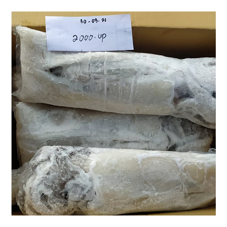 Clean HACCP Certified Seafood Supplier Cuttlefish