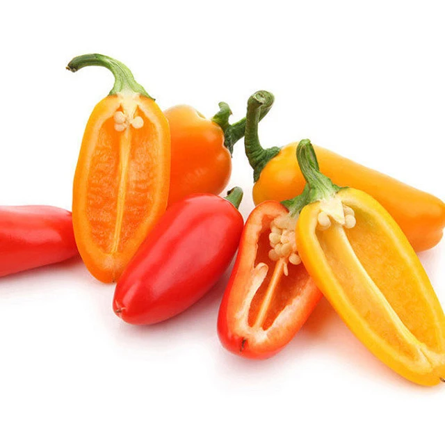  [Made in Korea] GAP KOREAN Snack Paprika Small Size Red Yellow Orange Chocolate Bell Pepper Juicy Taste