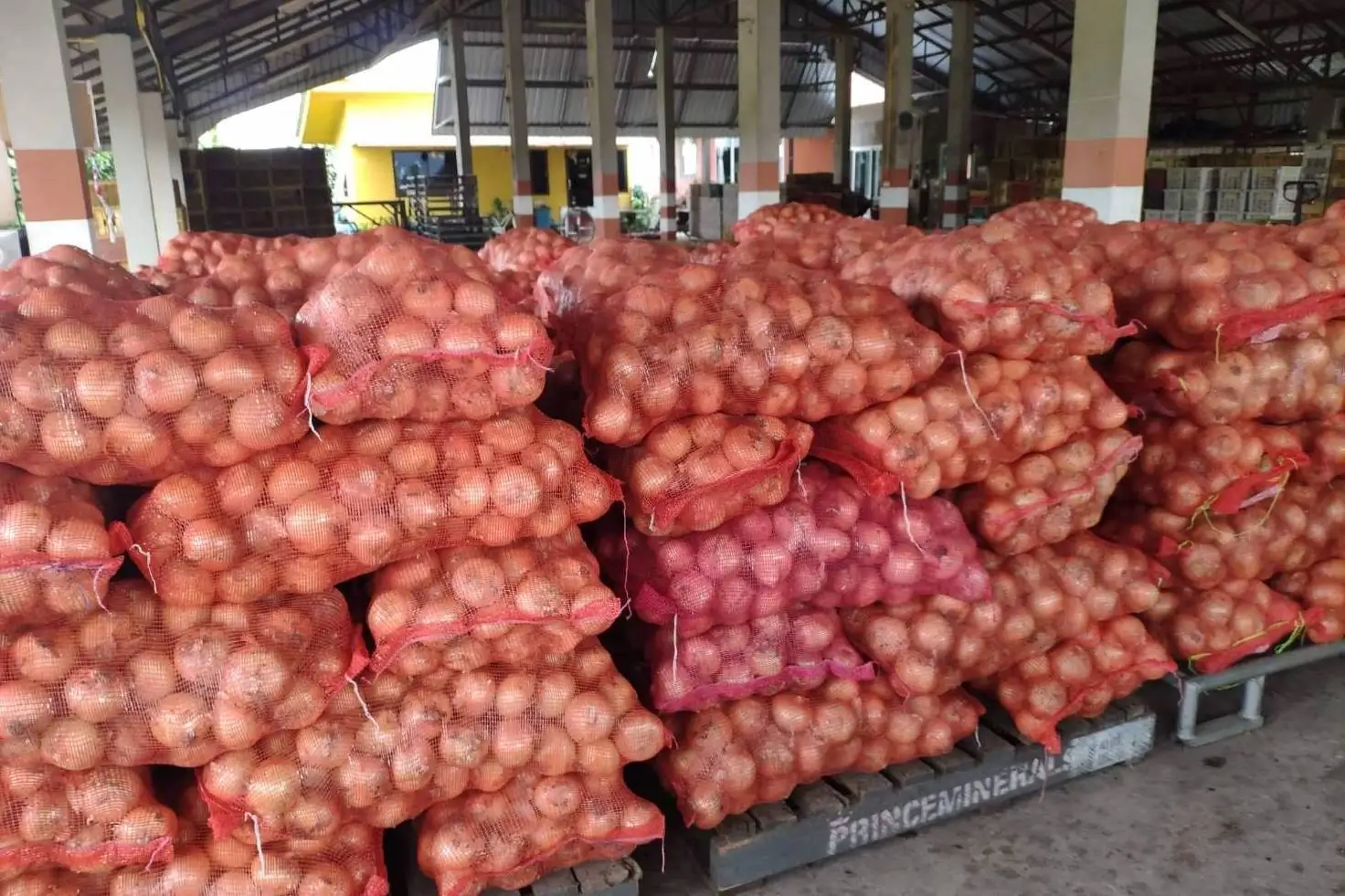 Y2022 New Crop Premium Fresh Onions direct from Thailand Farm (Premium Quality Fresh Onion) Fresh Harvest