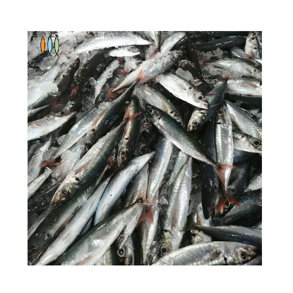 BLOCK IQF Seasonal Nature Whole Body Frozen Scad Fish Decapterus Kurroides Redtail Scad From Vietnam