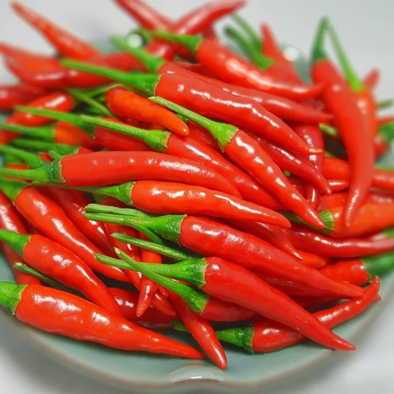 SUPER SPICE FRESH BIRD EYE CHILI WITH PREMIUM VIETNAM