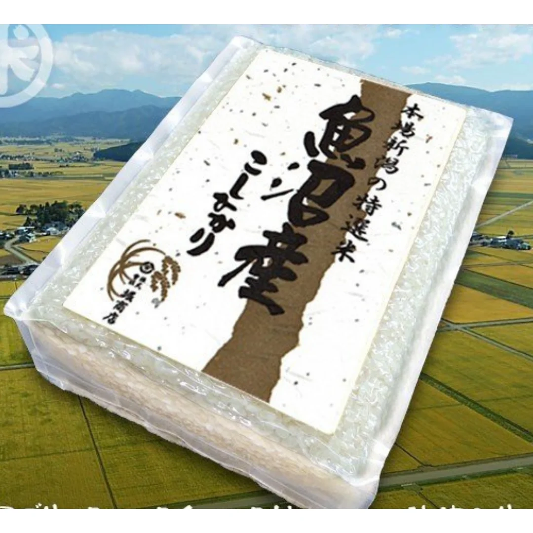 Koshihikari Rice Organic Sticky Rice