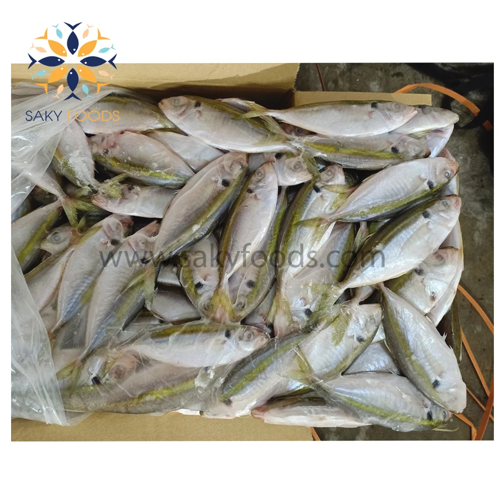 New Frozen Yellow Stripe Trevally Fish From Vietnam With Good Price