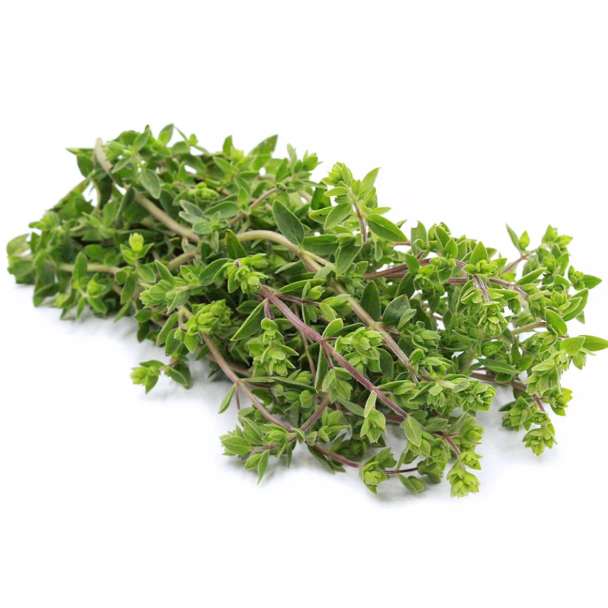 Оптовая продажа органическое 100% натуральное паровое дистиллированное масло молочного дерева для продуктов по уходу за кожей оптовая