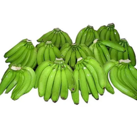 Plantains Green Plantain Banana/Fresh Green Plantains for sale