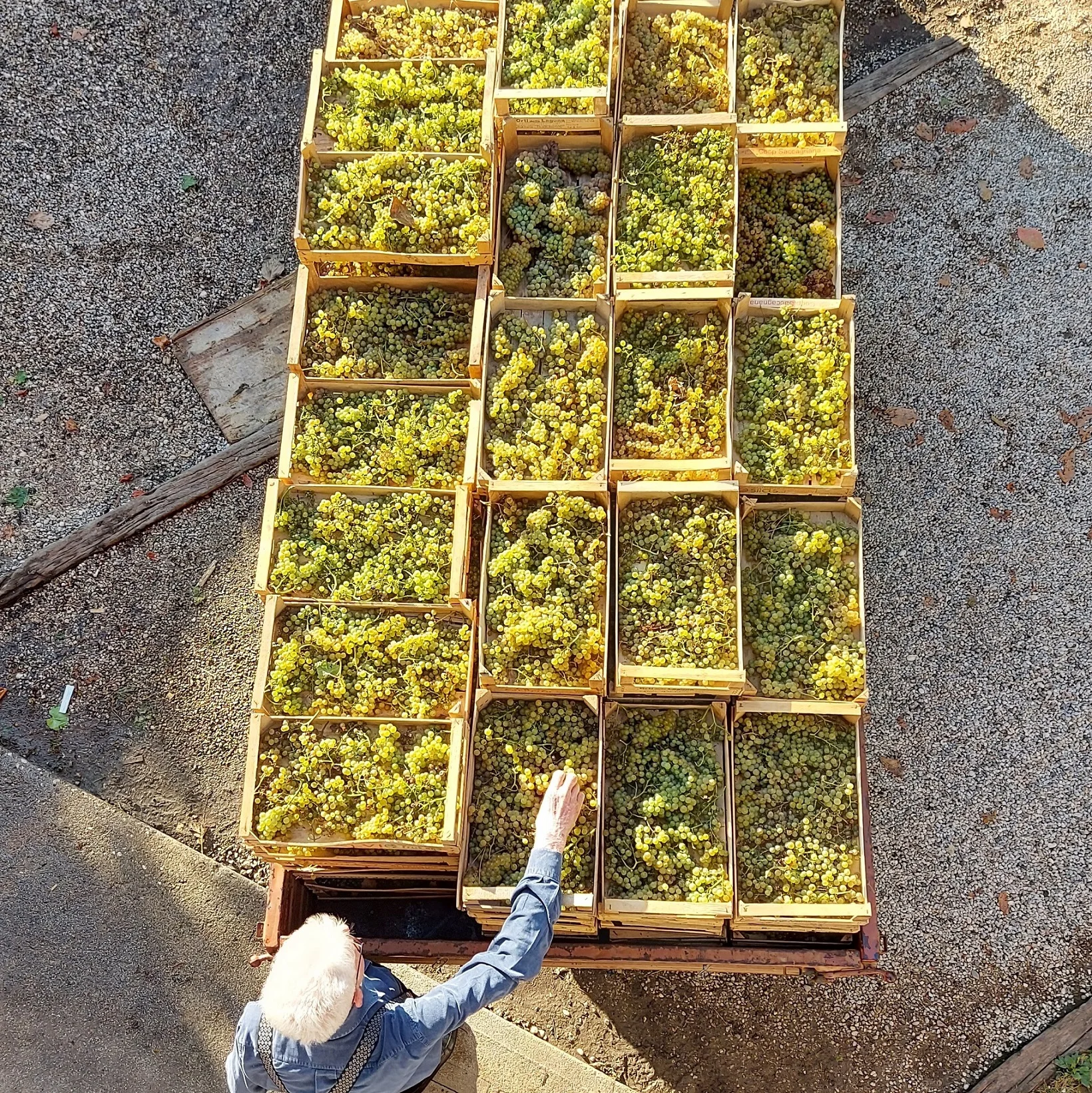 Винный пиколит петрусса высокого качества для медитации итальянский белый PICOLIT Docg 375cl ресторана бара частного клиента