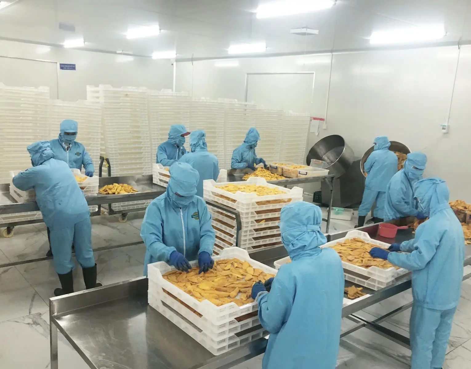 Сушеные на воздухе мягкие ломтики манго конкурентоспособная цена десерт с низким содержанием сахара оптовая продажа выходные