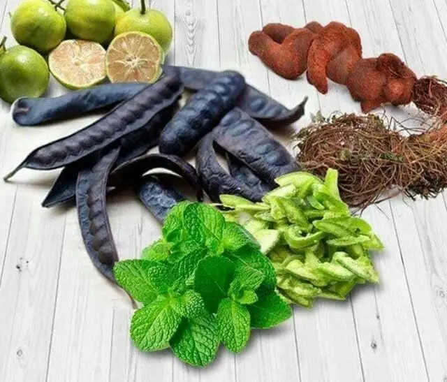 DRIED LOCUST/ DRIED GLEDITSIA/ HONEY LOCUST  VIET NAM   [HELEN +84 346 922 313]