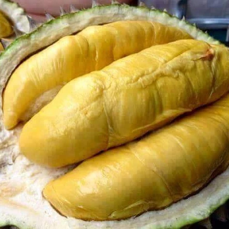 Конкурентоспособная цена-свежее/замороженное мясо премиум-класса MONTHONG DURIAN-поставщик из Вьетнама/мисс Триш + 84 984 696 874