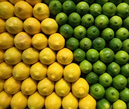 
Yellow Lemon/High Quality Fresh Lemon Fruit/Yellow Lemon 