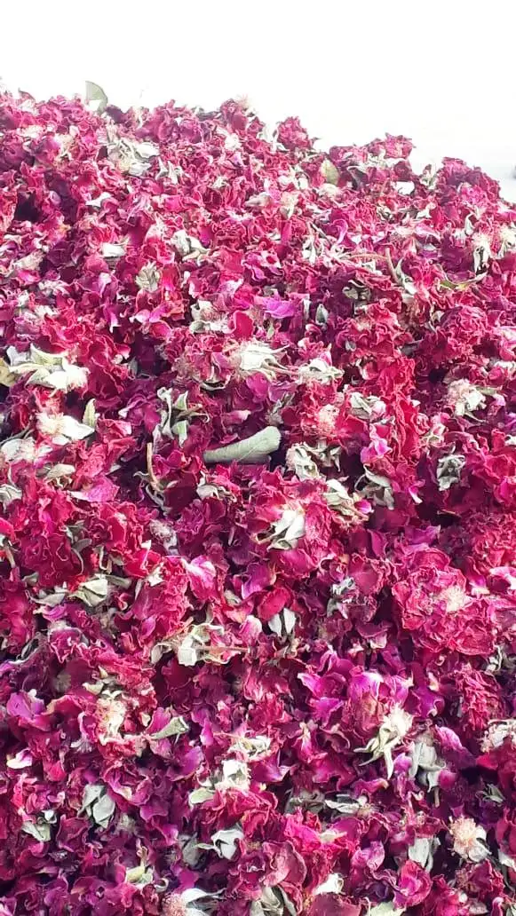 
Natural Dried Rose Petal Flower with and without bud for Herbal Tea, Slimming Tea 