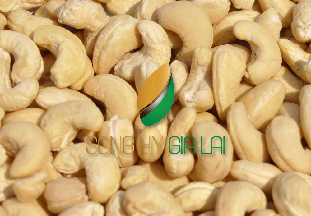 CASHEW KERNEL WW320 - SONG HY GIA LAI