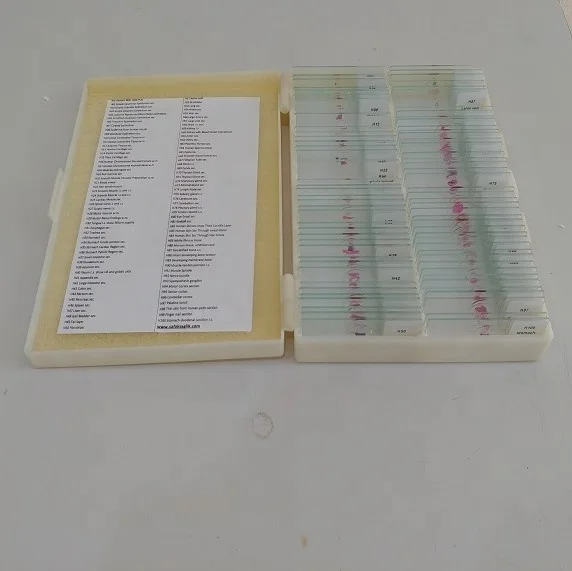 Слайды для микроскопа Botany (100 шт.)