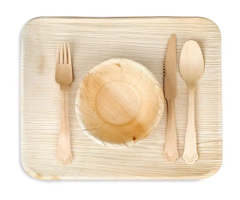 organic disposable Biodegradable areca leaf Plates and Wholesale Palm Leaf Areca bowls spoon