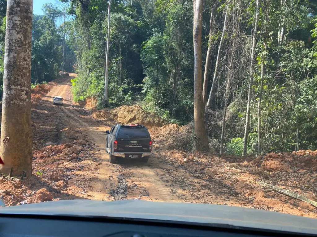 Chengal Log Raw Wood Logs From Malaysia