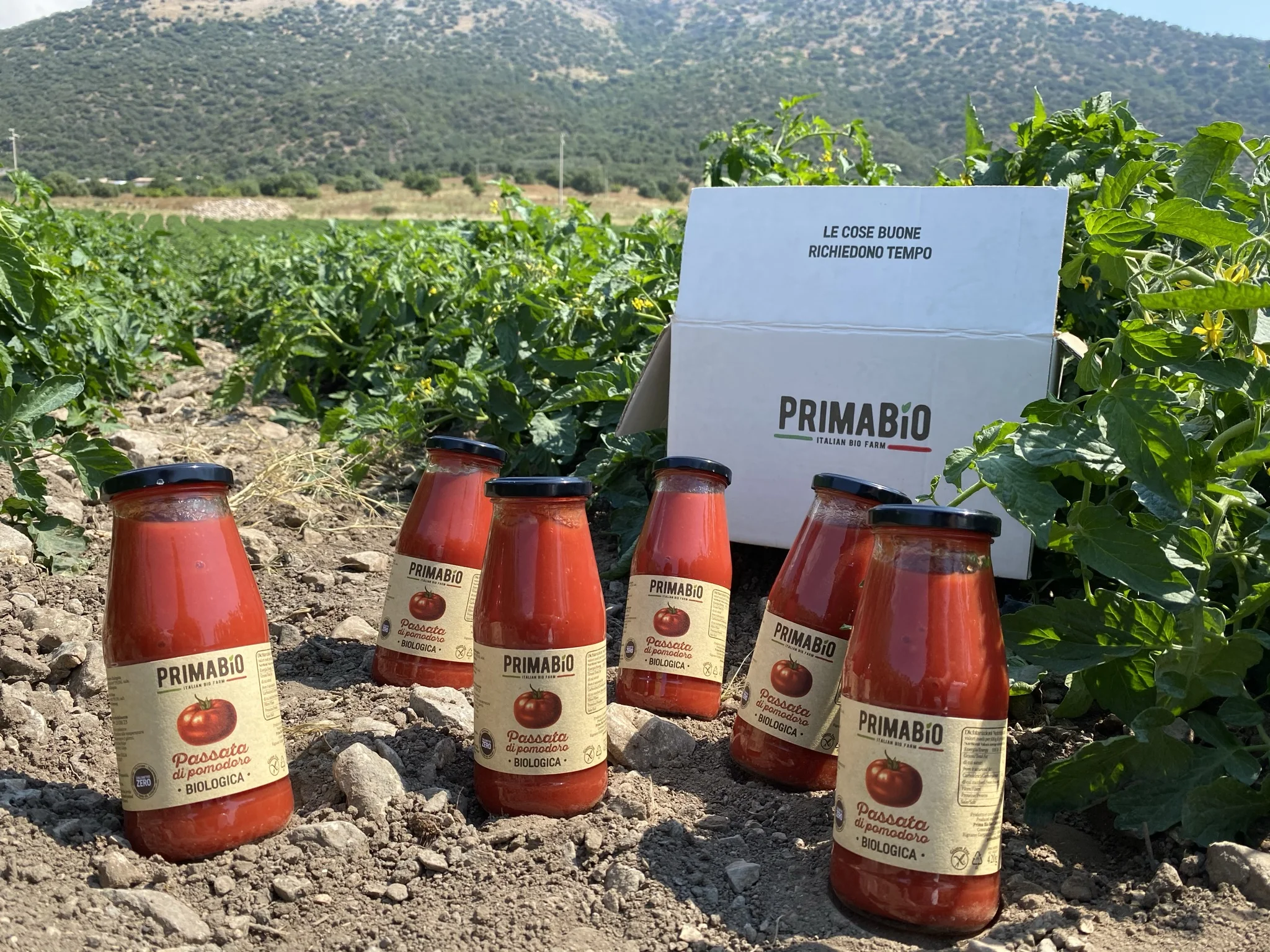 Top Quality Italian Organic Tomato Paste | glass 420g