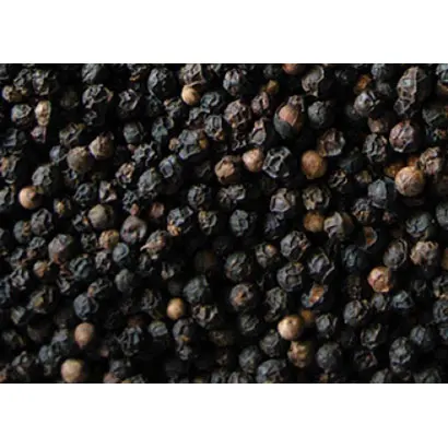 
Vietnam Black Pepper 550gl Clean for Export 