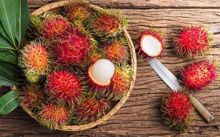 Wholesale Fresh Rambutan Rambutan Export 100% Fresh Tropical Fruit Best Price High Quality made in Vietnam