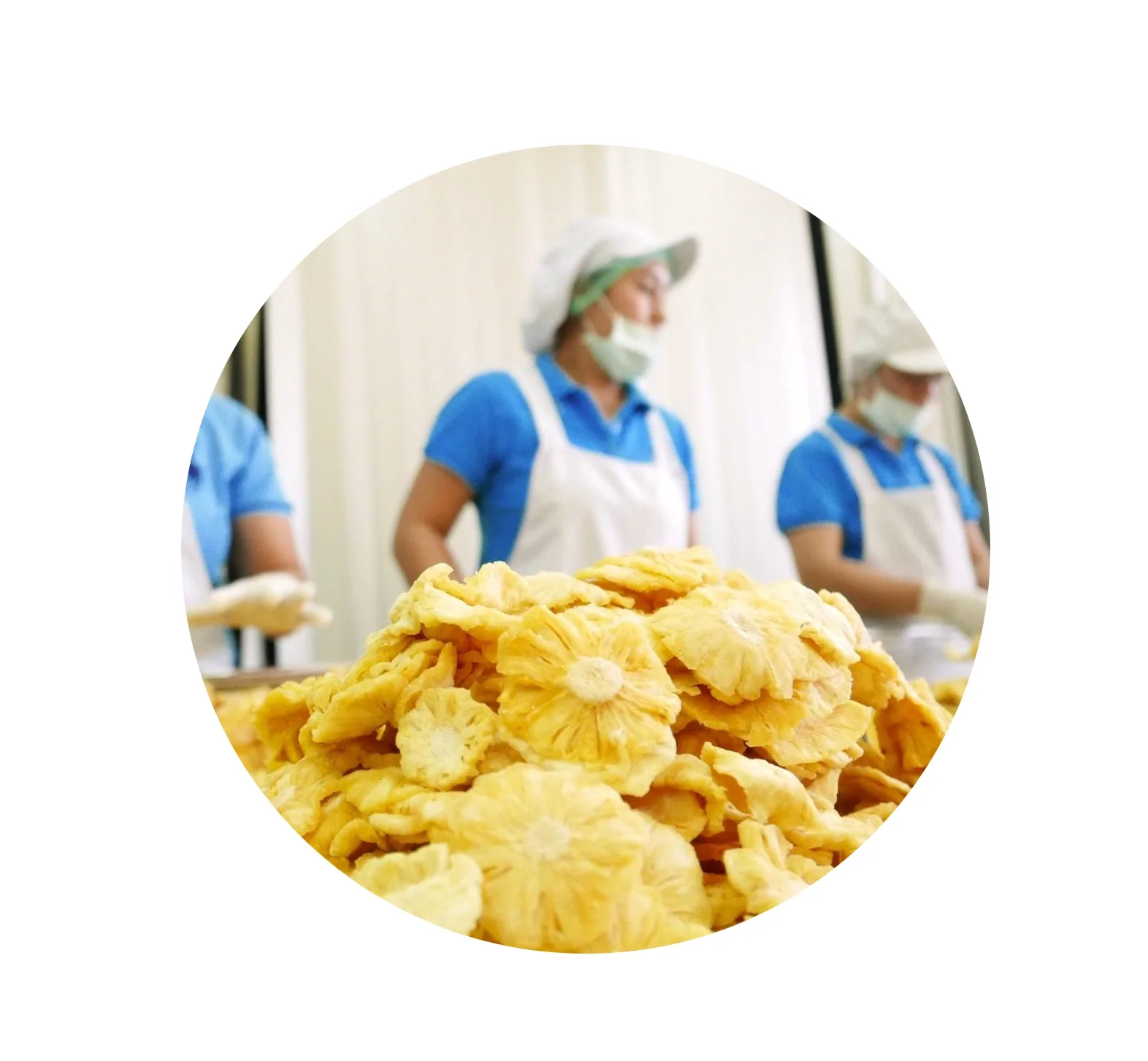 OEM Service OEM Brand Dried mango low sugar  Soft dry mango low sugar product from Thailand