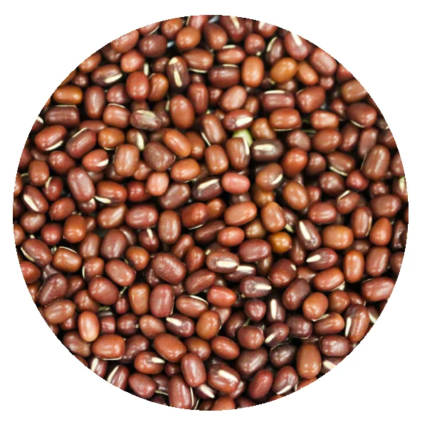
Organic Adzuki Beans in Bulk from China 