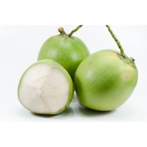 ATL GLOBAL VIET NAM FRESH YOUNG COCONUT WATER