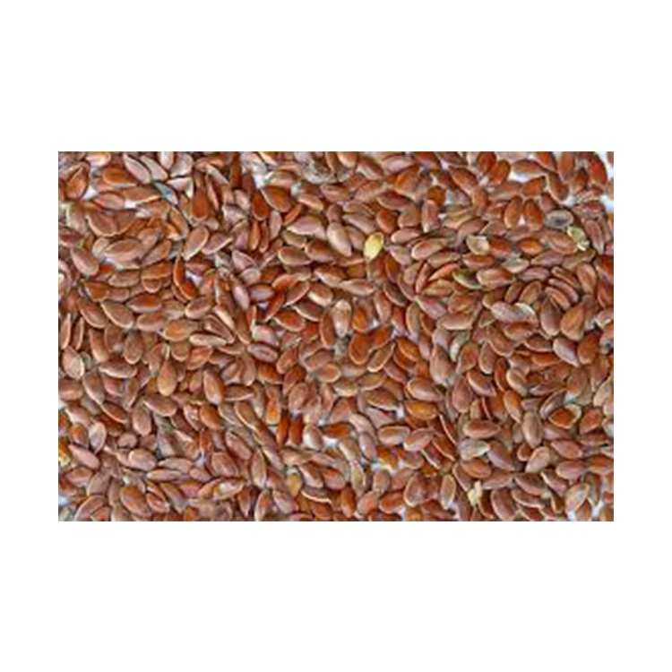 
Globally Selling Optimum Quality 99% Machine Cleaned Linn Seeds from Best Supplier 