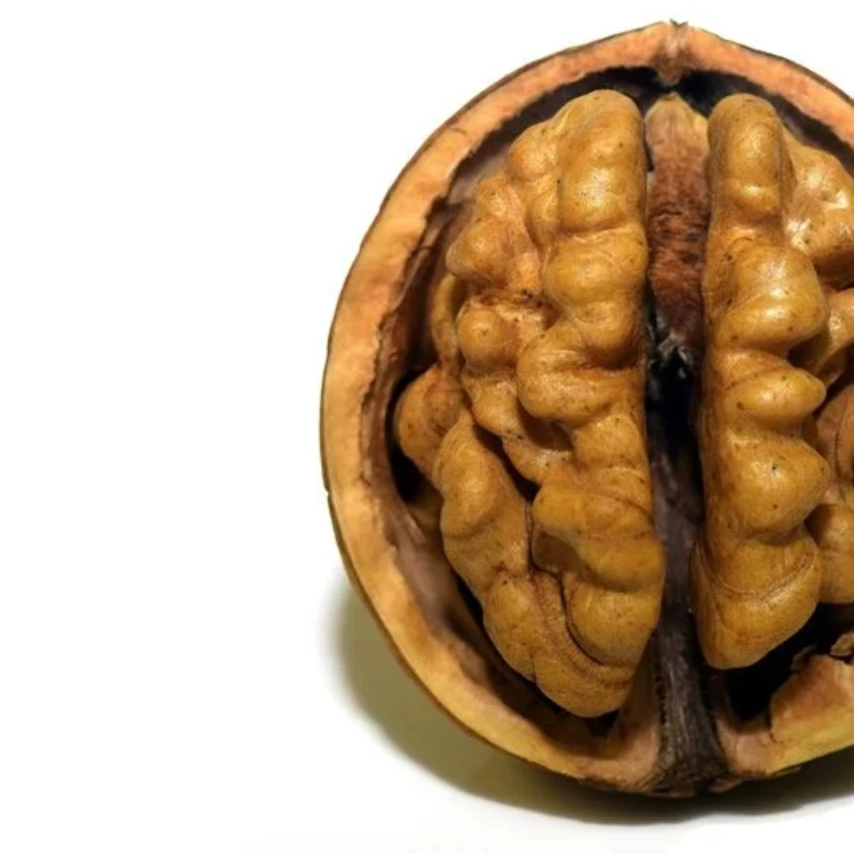  100% Высококачественные грецкие орехи в скорлупе