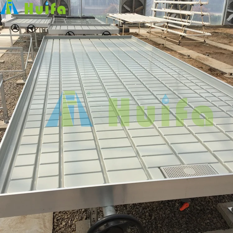 New type Hydroponic Grow Systems Film 30 X 100 Greenhouse Ebb And Flow Rolling Table for Greenhouse planting