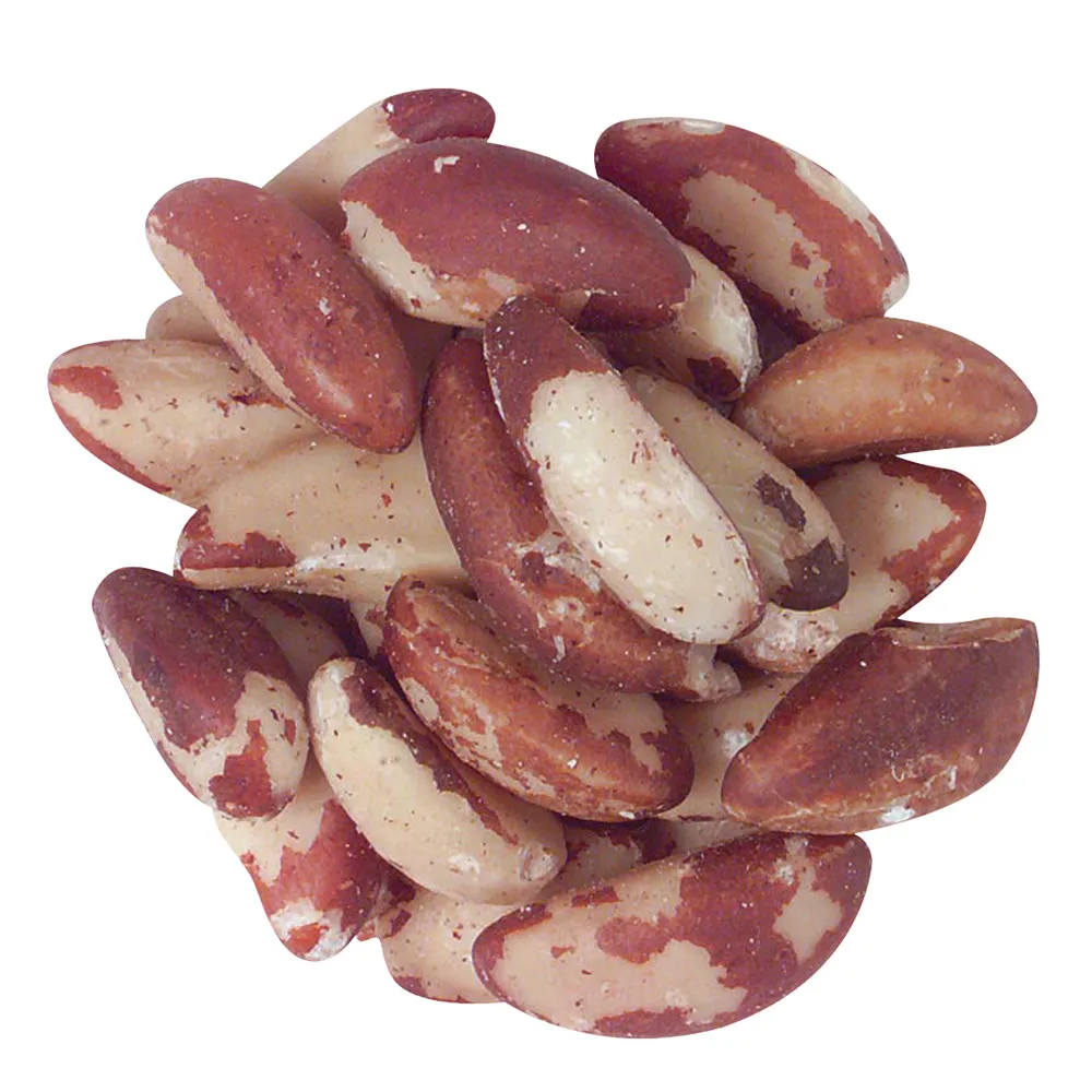 Quality Brazil Nuts online form China