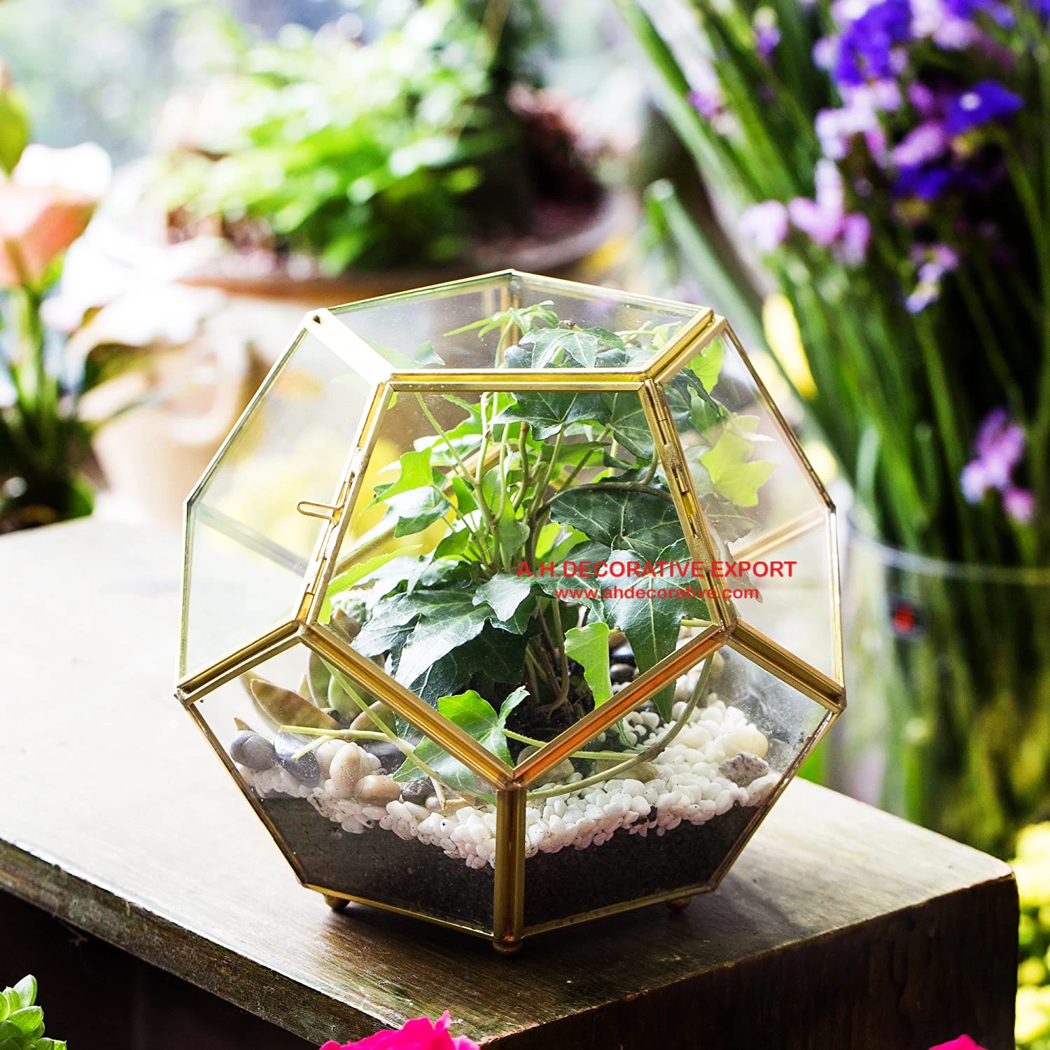 Gold Plated Frame Glass Terrarium Planter Vase Factory Direct Sales Home Decorative Flower Pots Planters