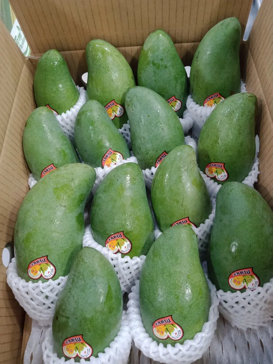 Cheap Price 10 kg/ctn 24 months Shell Life Sweet Taste Year Round Season Frozen Mango Export From Vietnam