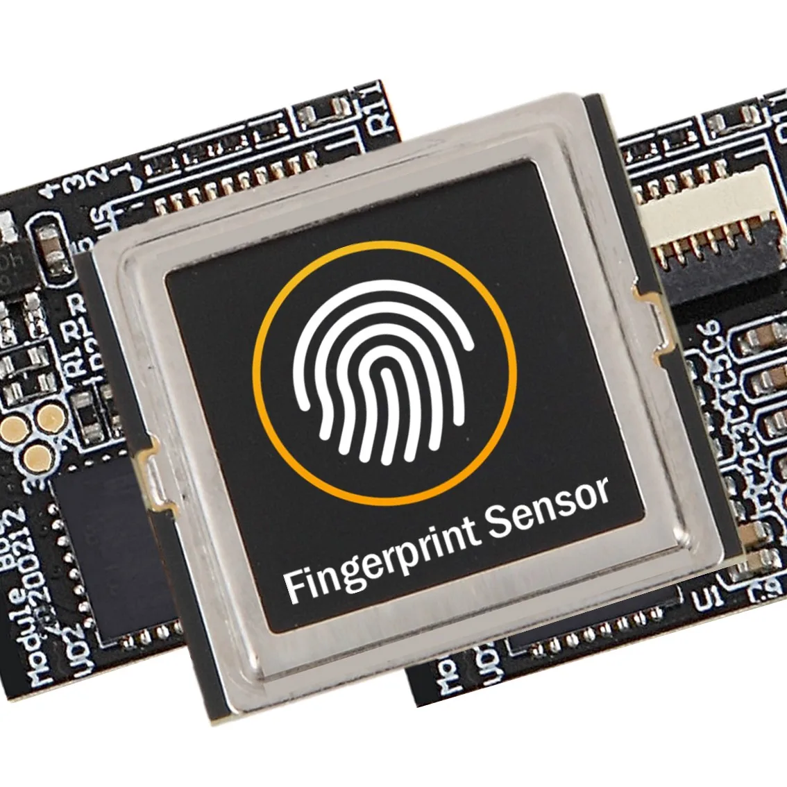 Wide Temperature Fingerprint Sensor with MCU and BP Algorithm is the Best Choice of Biometric USB Fingerprint Sensor Module