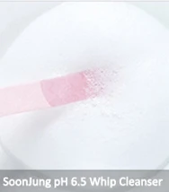 Korean cosmetics Amazon best ETUDE HOUSE Soonjung pH 6.5 Whip Cleanser 150ml OEM ODM