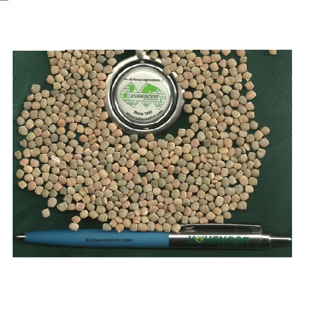 Guar Seeds / Guar Beans