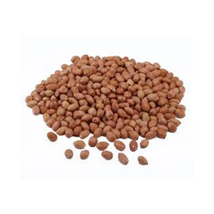 
Wholesale High Quality Indian Origin Raw Tj Groundnuts / Peanuts for Sale 