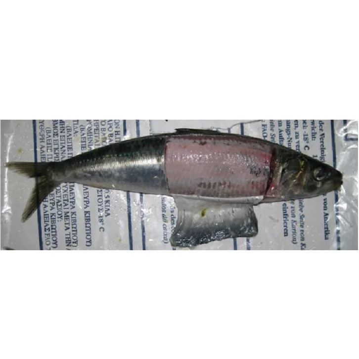 Сардины целые круглые