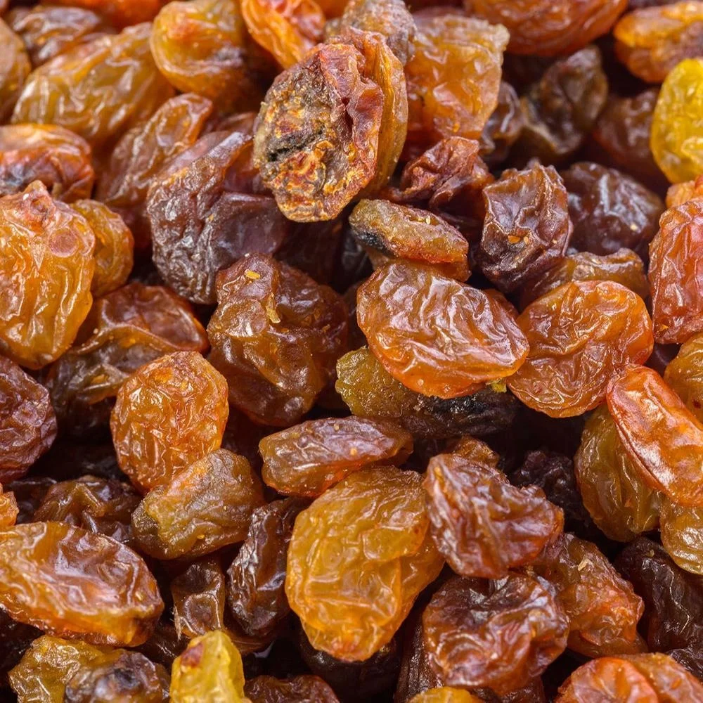 High Quality Golden Raisin | Wholesale Raisin  Best Price | Golden Raisin At Cheap Price