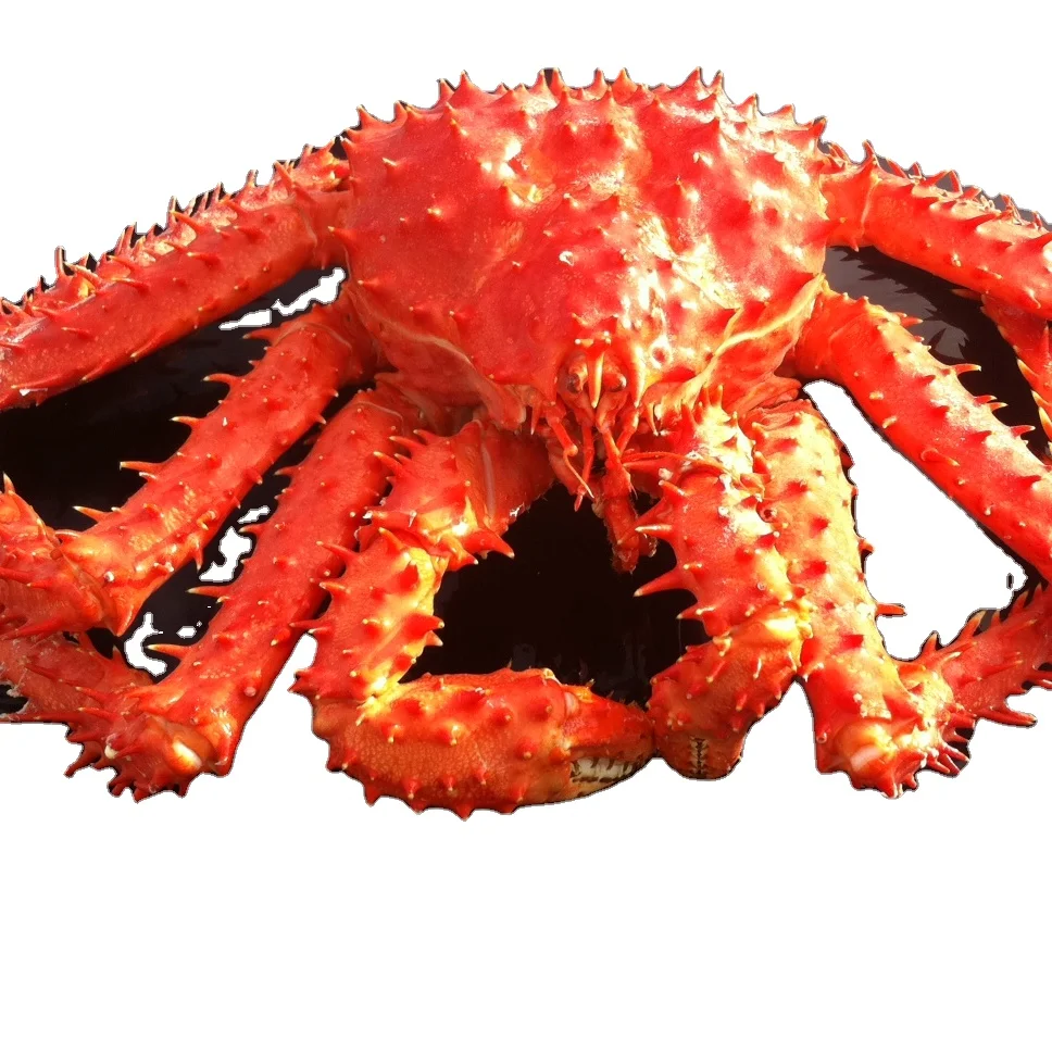 Wholesale Frozen King Crab Whole King Crab Low Price.