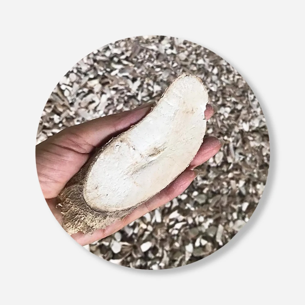 Сушеные чипсы кассавы из таиланда для пищевой промышленности или производства корма для животных и этанола