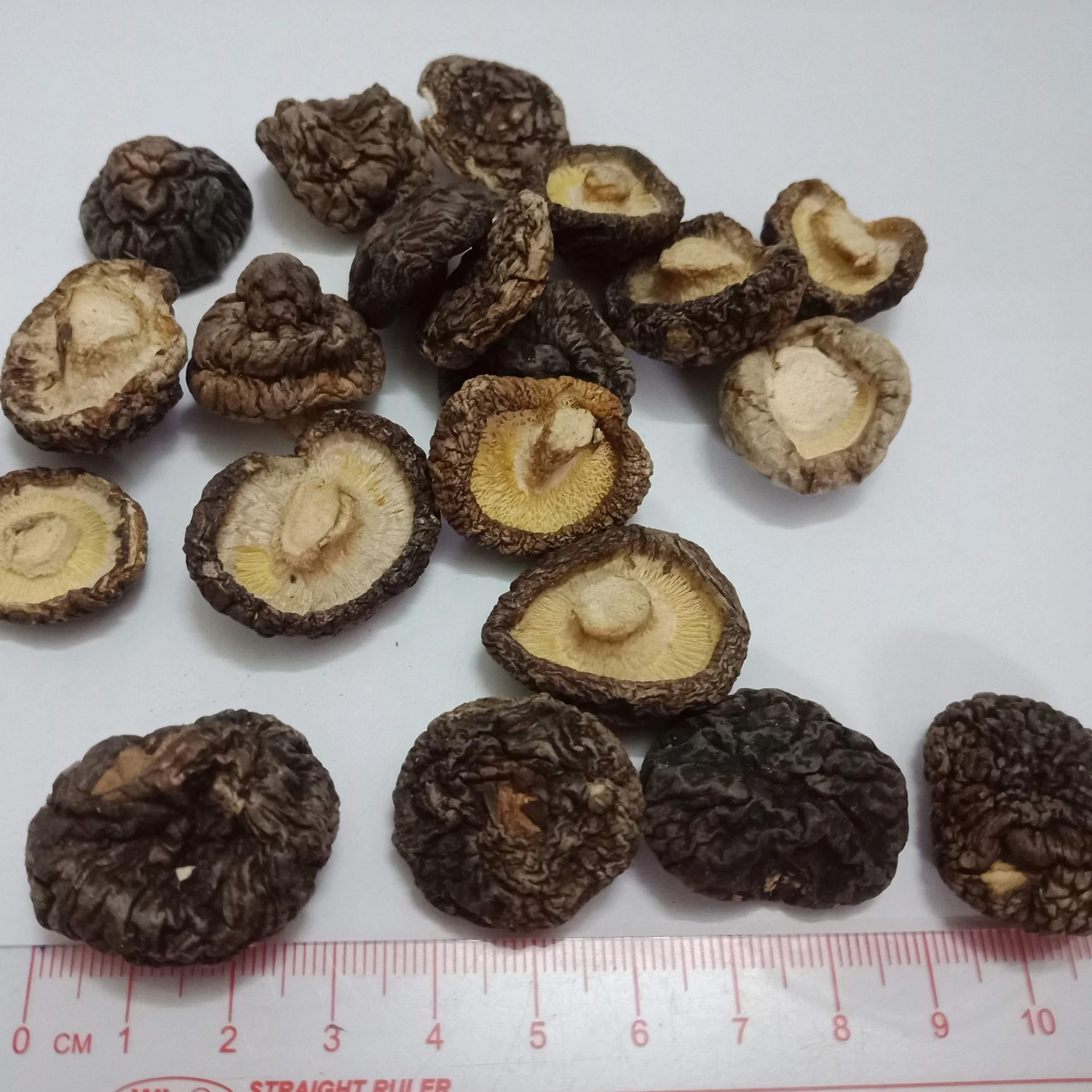 Оптовая продажа органические сушеные грибы shiitake экстракт грибов shiitake/Hana + 84 901 006 904