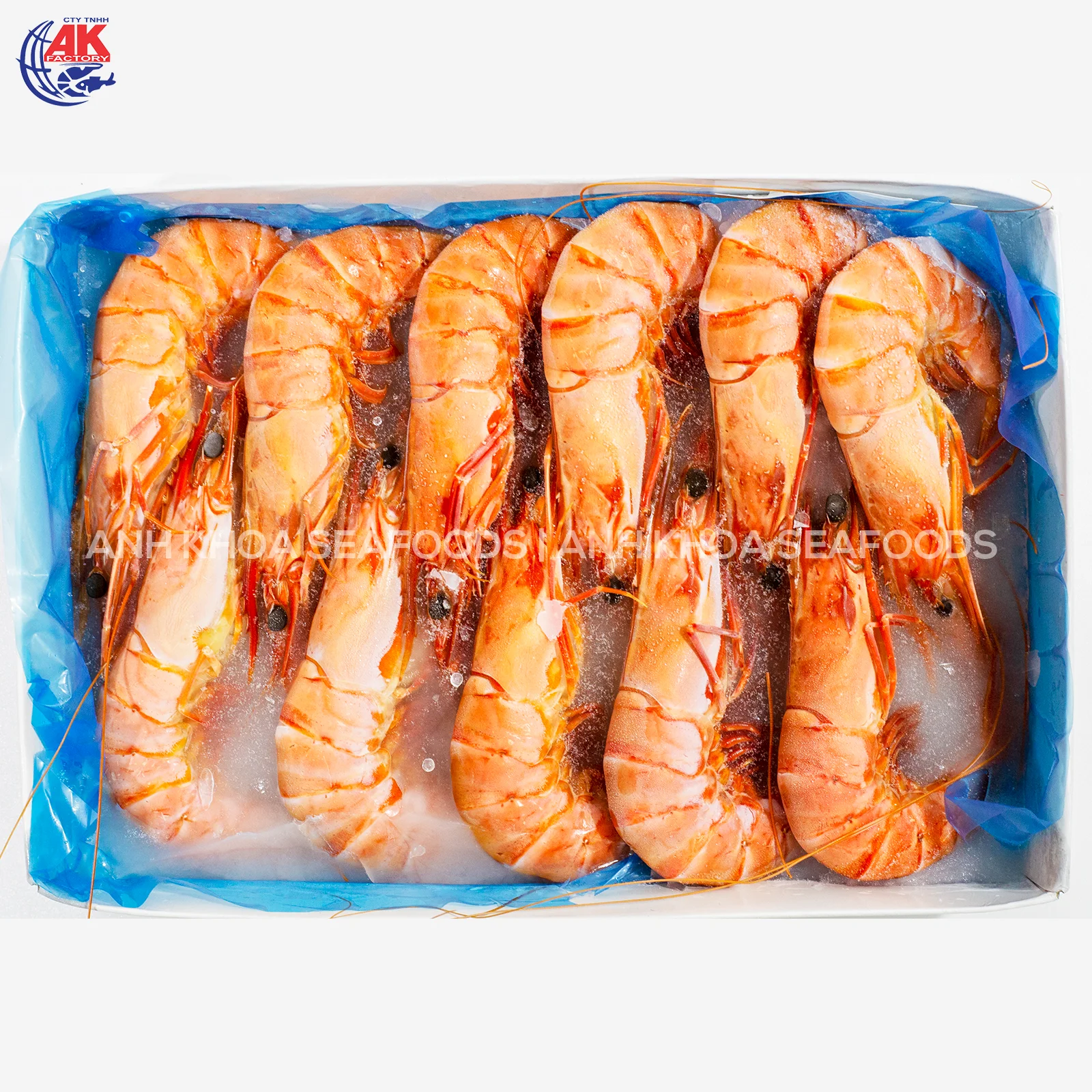 High Selling Fresh Cooked Frozen Black Tiger Shrimp at PERFECT QUALITY | IQF Cooked Black Tiger Shrimp Head on shell on | CHOSO