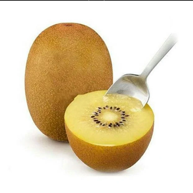 kiwi-fruit..jpg