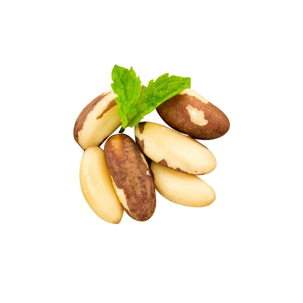 
Hot Selling Best Quality Good Price Brazil Nut 