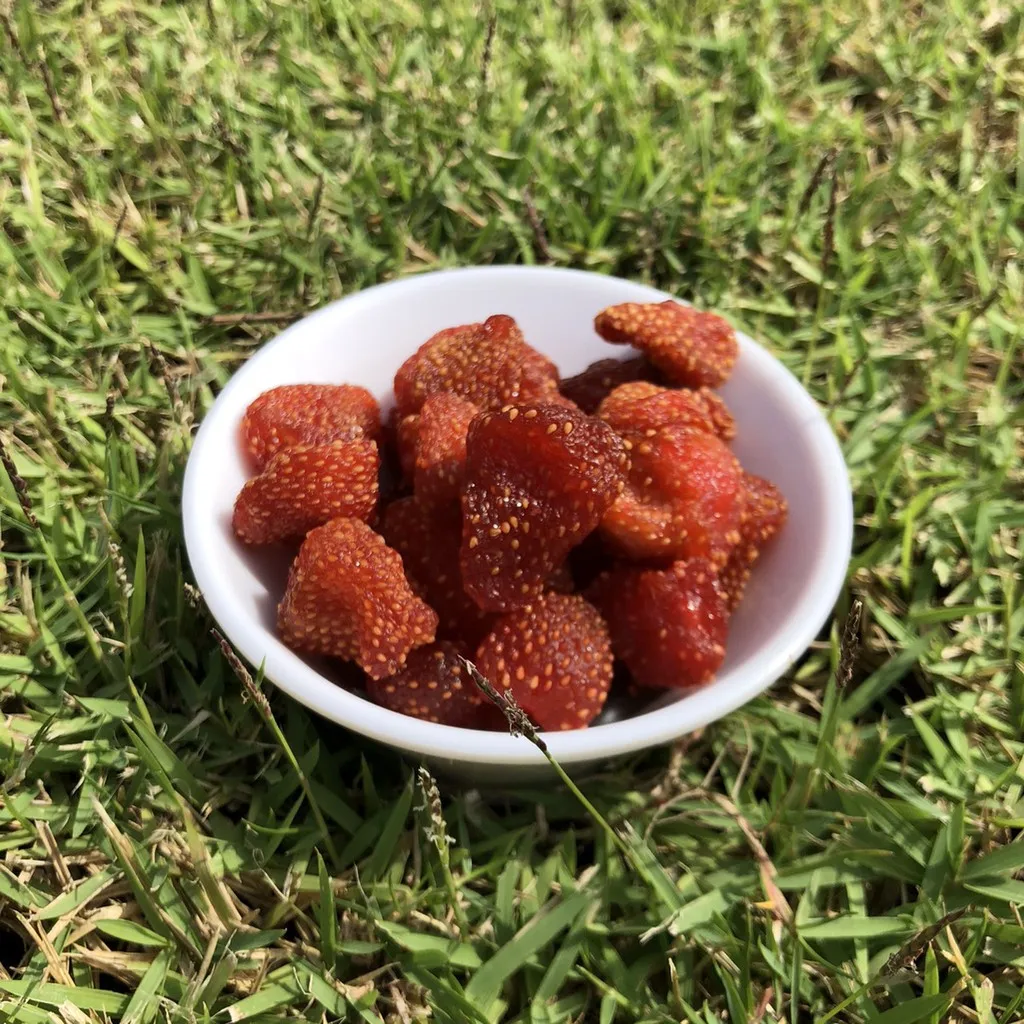 Thailand Dried Strawberry From Chiangmai Where Is The Most Famous About Strawberry