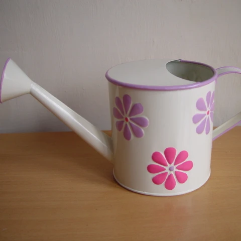 Лидер продаж, декоративный оцинкованный водный тростник для украшения сада и дома, водные трости и кастрюли по оптовым ценам